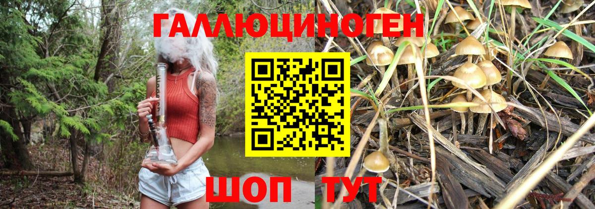 что такое наркотик  Вход с VPN  Ханты-Мансийск  Галлюциногенные грибы прущие грибы  Псилоцибиновые грибы GOLDEN TEACHER 